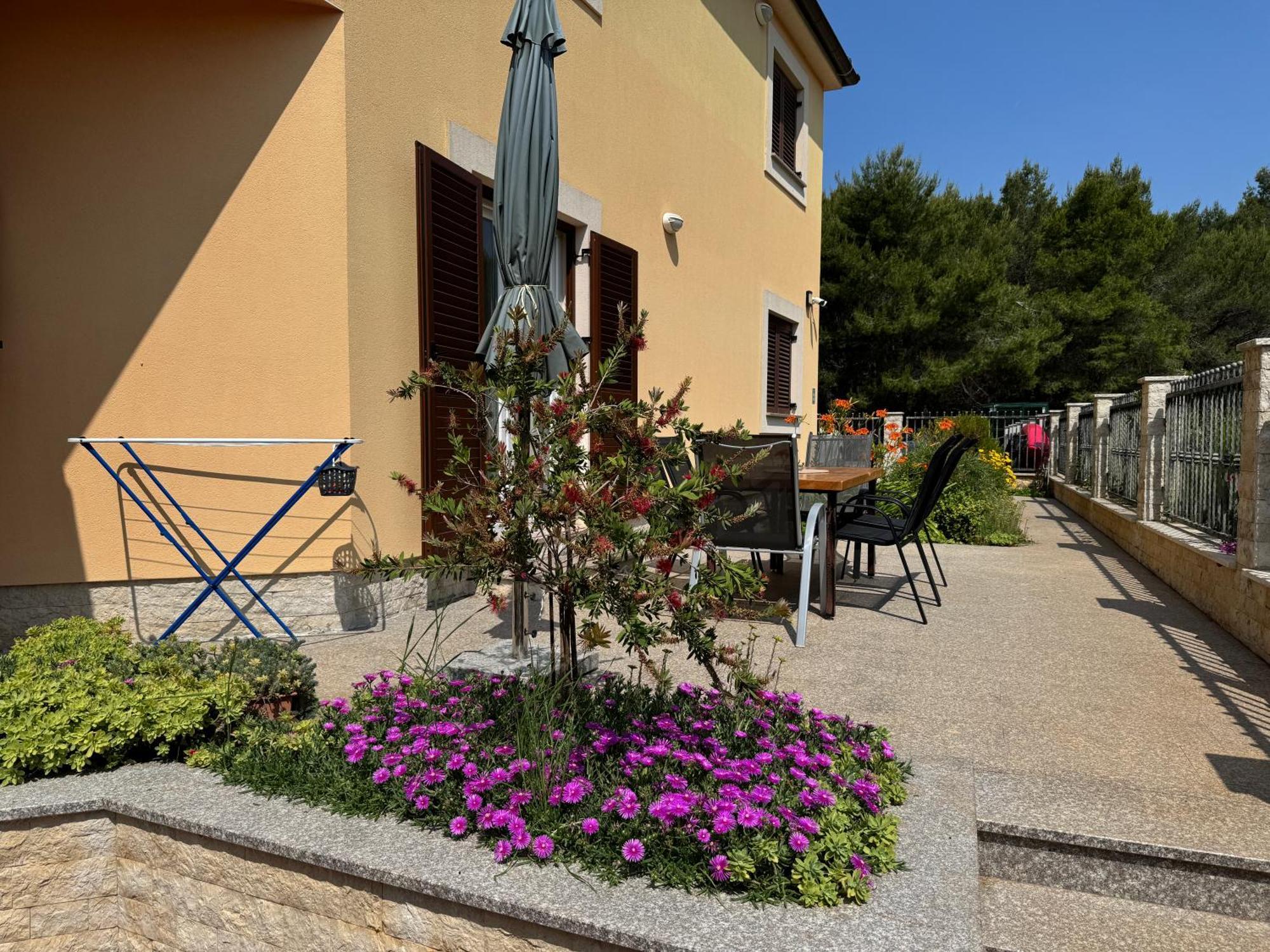 Villa Pineta Fažana Zewnętrze zdjęcie